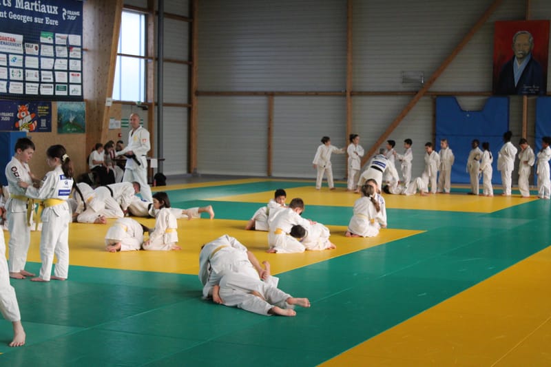 Samouraï à Saint-Georges sur Eure - 30/11/2024