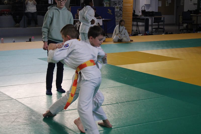 Samouraï à Saint-Georges sur Eure - 30/11/2024