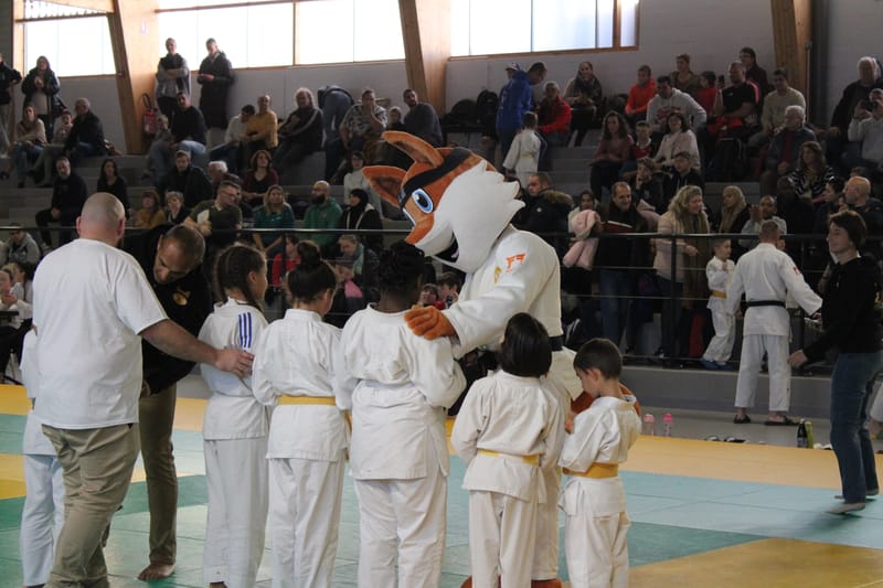 Samouraï à Saint-Georges sur Eure - 30/11/2024