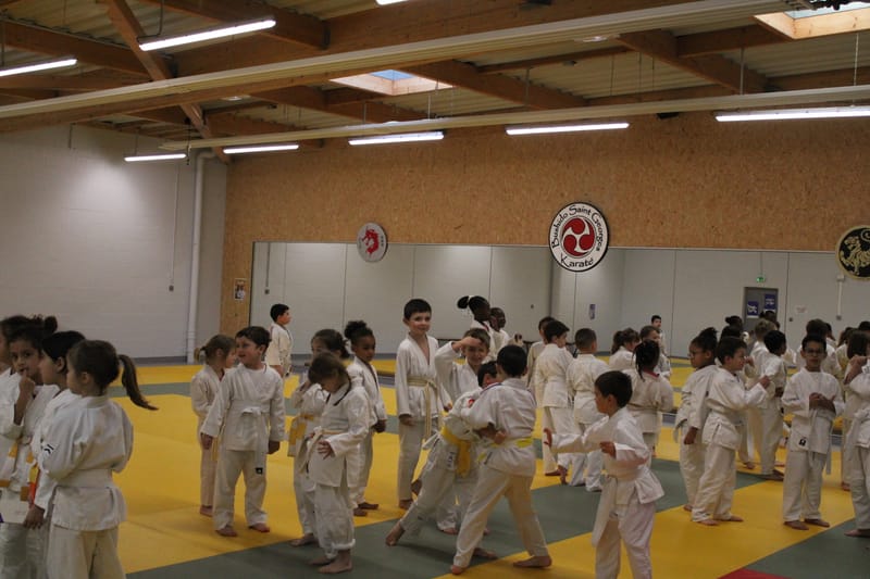 Renardo à Saint-Georges sur Eure - 30/11/2024