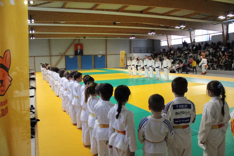 Renardo à Saint-Georges sur Eure - 30/11/2024