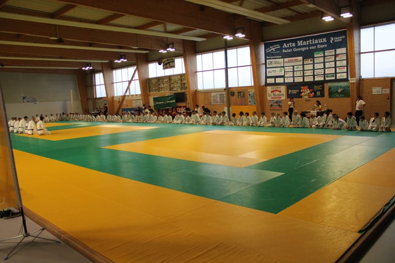 Renardo à Saint-Georges sur Eure - 30/11/2024