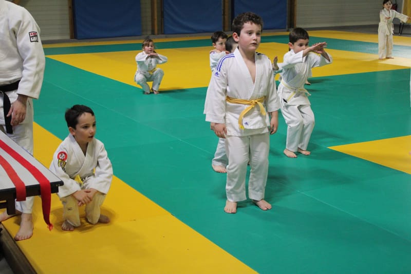 Renardo à Saint-Georges sur Eure - 30/11/2024