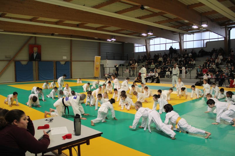 Renardo à Saint-Georges sur Eure - 30/11/2024