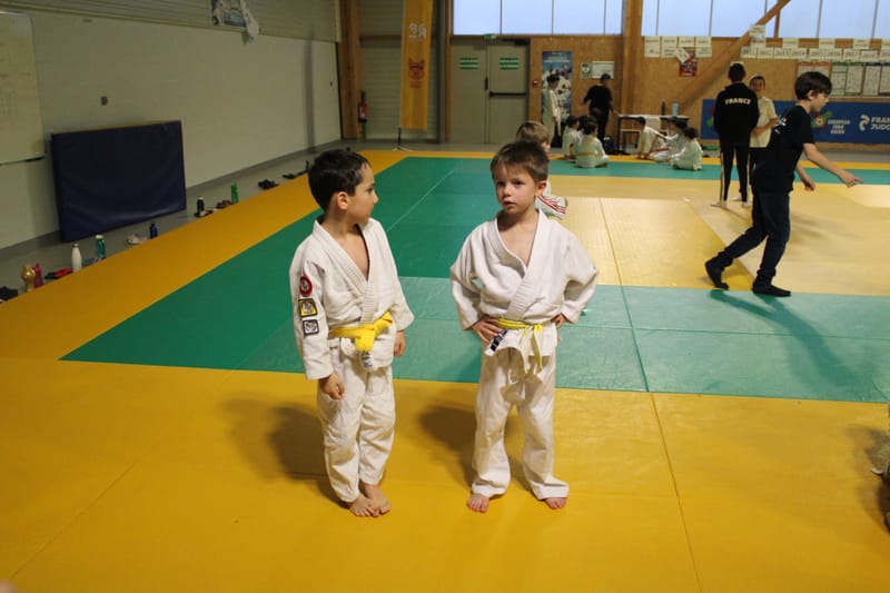 Renardo à Saint-Georges sur Eure - 30/11/2024