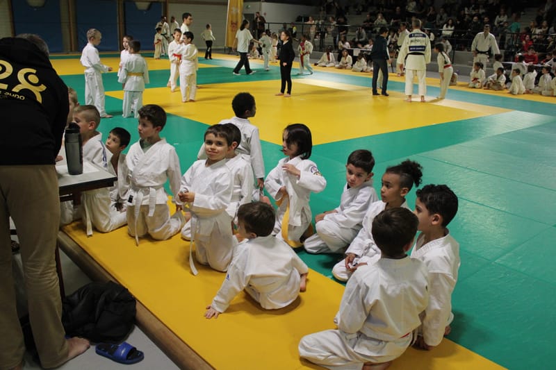 Renardo à Saint-Georges sur Eure - 30/11/2024