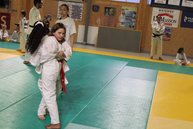 Renardo à Saint-Georges sur Eure - 30/11/2024