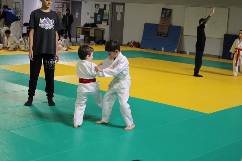 Renardo à Saint-Georges sur Eure - 30/11/2024