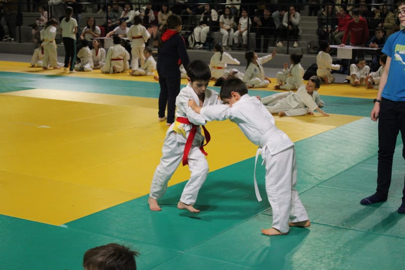 Renardo à Saint-Georges sur Eure - 30/11/2024