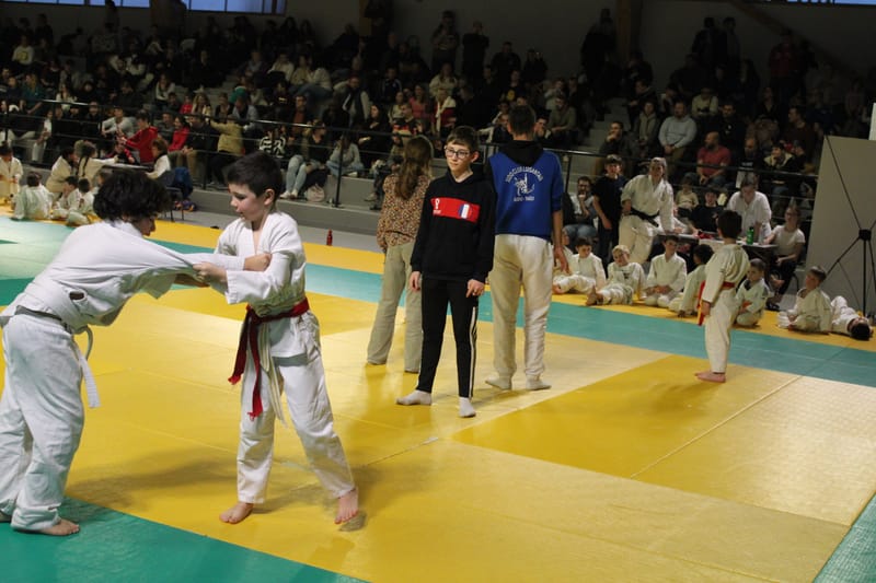 Renardo à Saint-Georges sur Eure - 30/11/2024