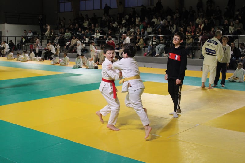 Renardo à Saint-Georges sur Eure - 30/11/2024