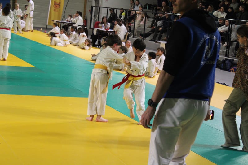 Renardo à Saint-Georges sur Eure - 30/11/2024