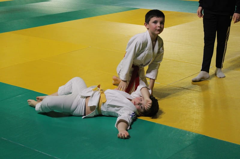 Renardo à Saint-Georges sur Eure - 30/11/2024