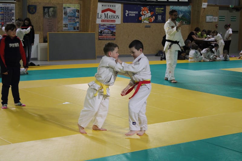 Renardo à Saint-Georges sur Eure - 30/11/2024