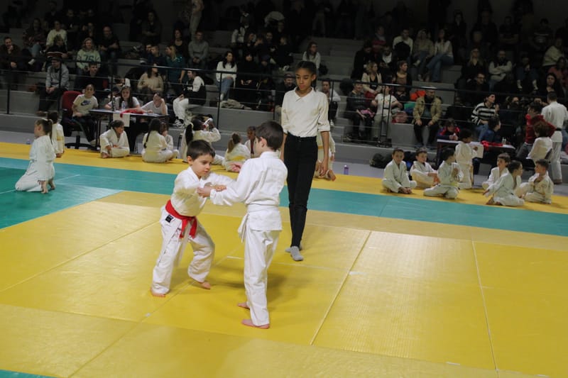 Renardo à Saint-Georges sur Eure - 30/11/2024