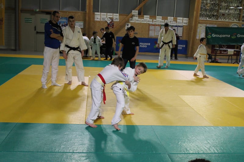 Renardo à Saint-Georges sur Eure - 30/11/2024