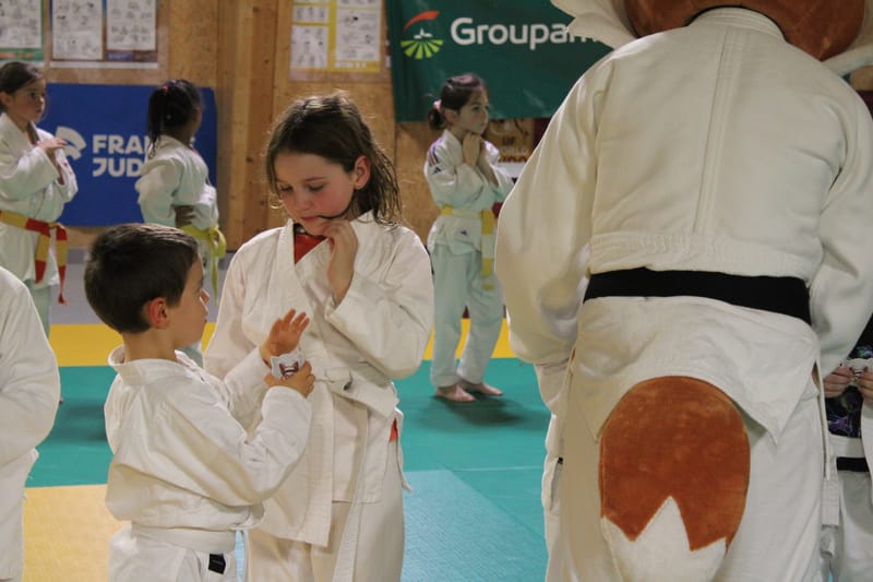 Renardo à Saint-Georges sur Eure - 30/11/2024