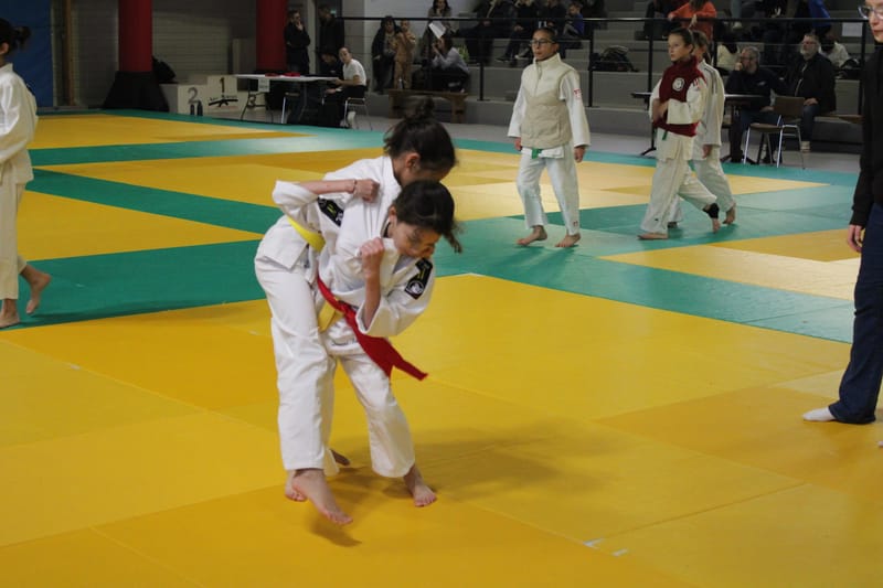 Tournoi de Saint-Georges-sur-Eure - 19/01/25
