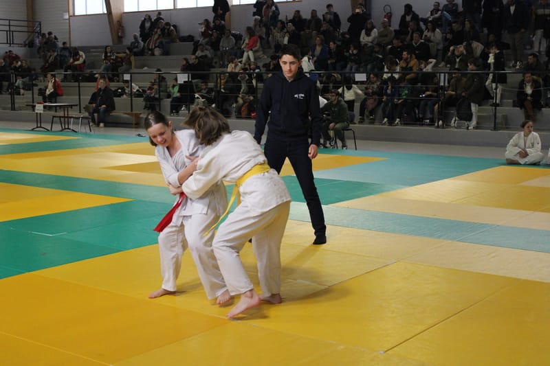 Tournoi de Saint-Georges-sur-Eure - 19/01/25