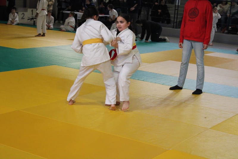 Tournoi de Saint-Georges-sur-Eure - 19/01/25
