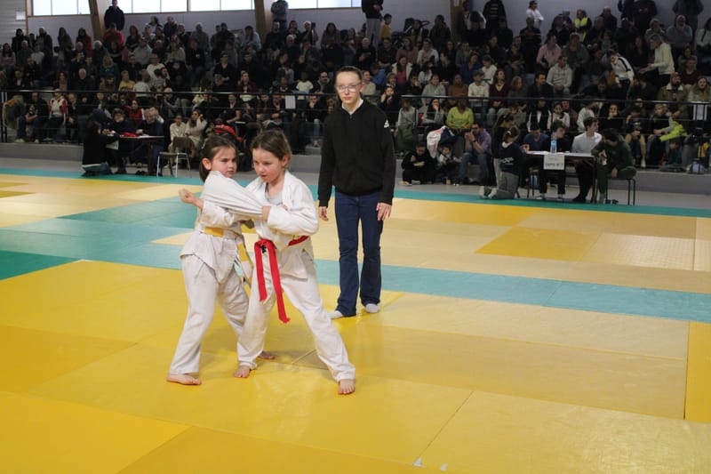 Tournoi de Saint-Georges-sur-Eure - 19/01/25