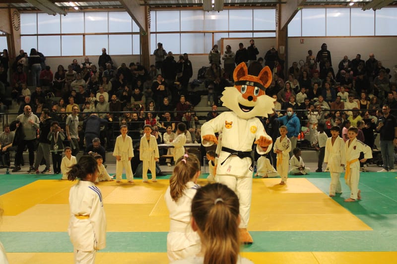 Tournoi de Saint-Georges-sur-Eure - 19/01/25