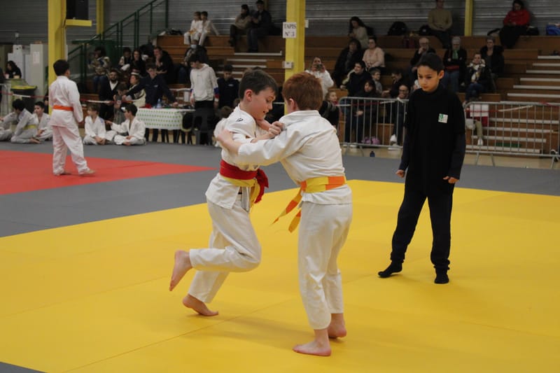 Samouraï à Nogent le Rotrou - 25/01/25