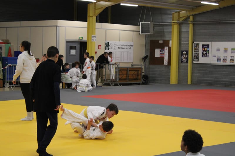 Samouraï à Nogent le Rotrou - 25/01/25