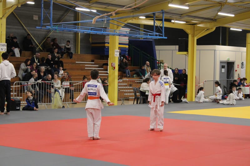 Samouraï à Nogent le Rotrou - 25/01/25