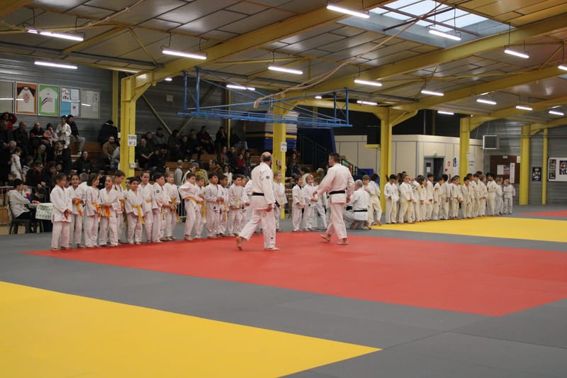 Renardo à Nogent le Rotrou - 25/01/25