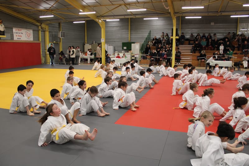 Renardo à Nogent le Rotrou - 25/01/25