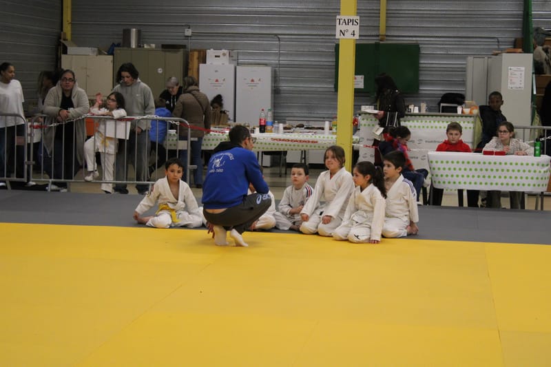 Renardo à Nogent le Rotrou - 25/01/25