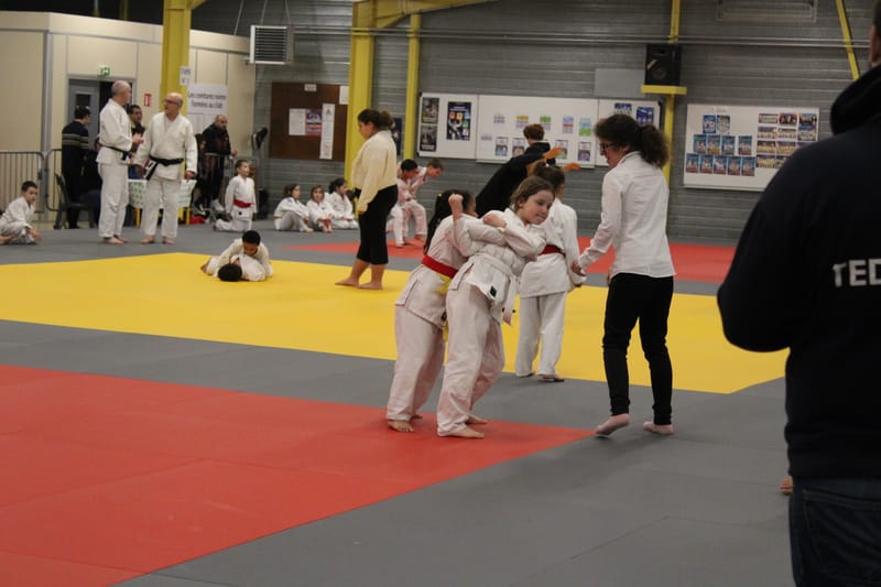 Renardo à Nogent le Rotrou - 25/01/25