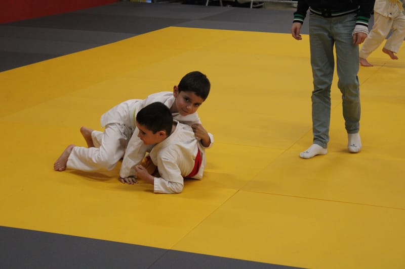 Renardo à Nogent le Rotrou - 25/01/25