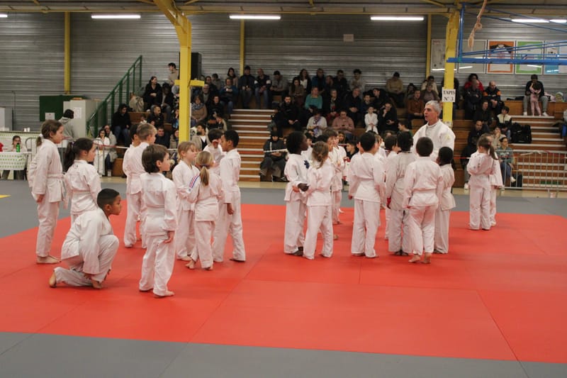 Renardo à Nogent le Rotrou - 25/01/25