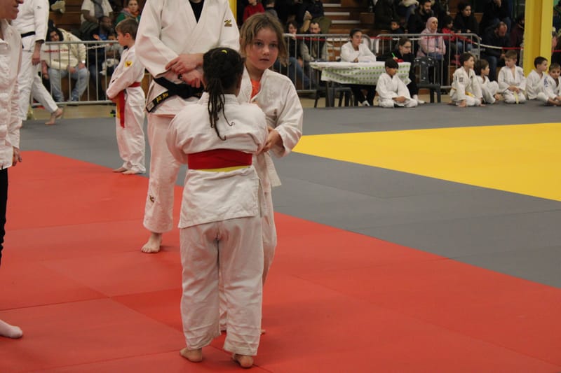 Renardo à Nogent le Rotrou - 25/01/25