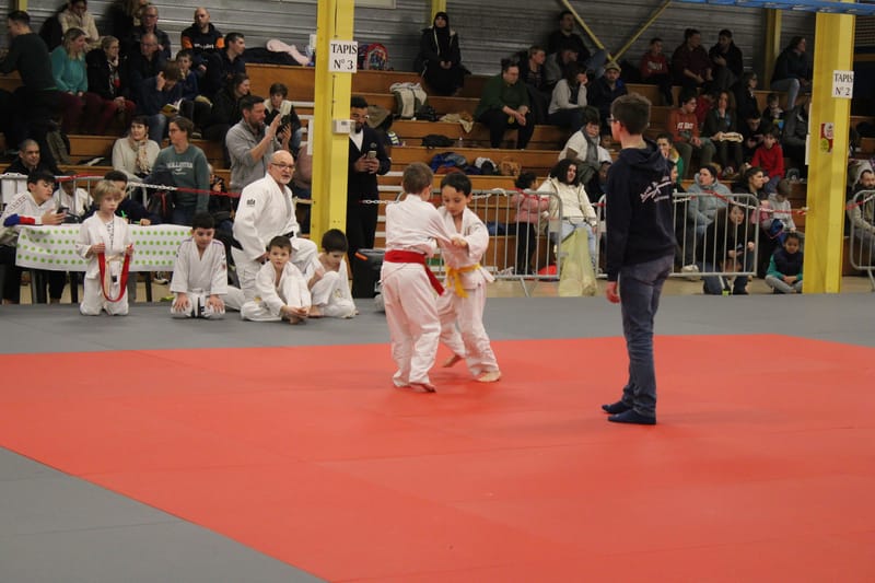 Renardo à Nogent le Rotrou - 25/01/25