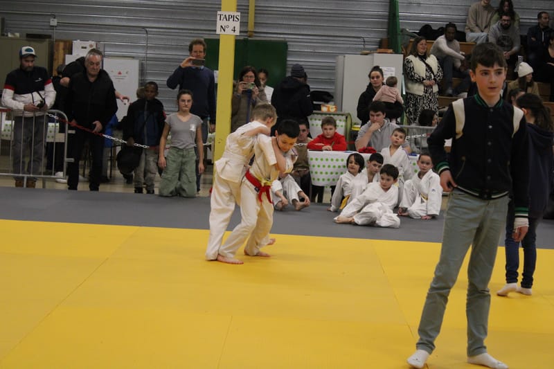 Renardo à Nogent le Rotrou - 25/01/25