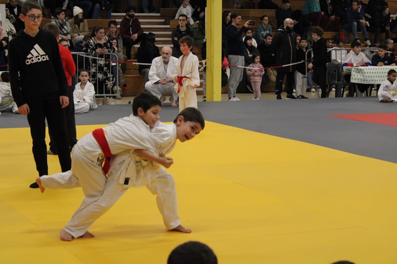 Renardo à Nogent le Rotrou - 25/01/25