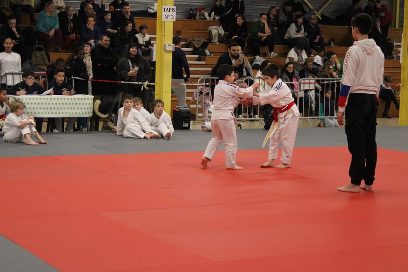 Renardo à Nogent le Rotrou - 25/01/25