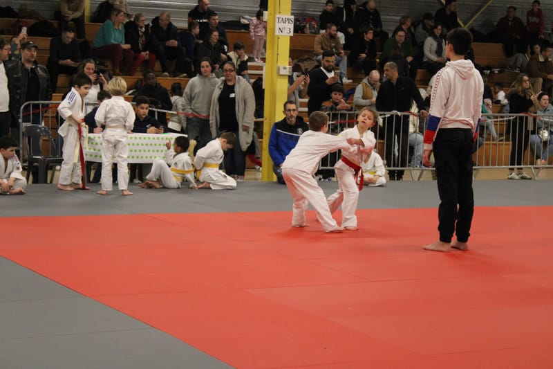 Renardo à Nogent le Rotrou - 25/01/25