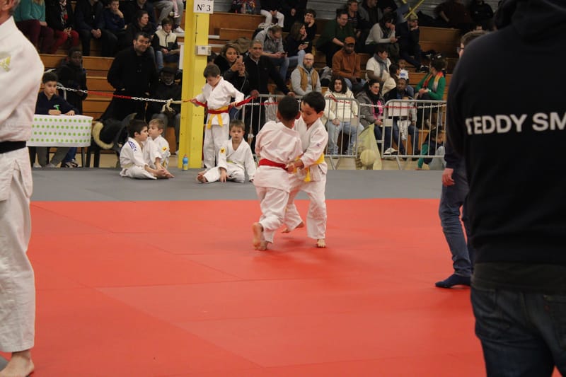 Renardo à Nogent le Rotrou - 25/01/25