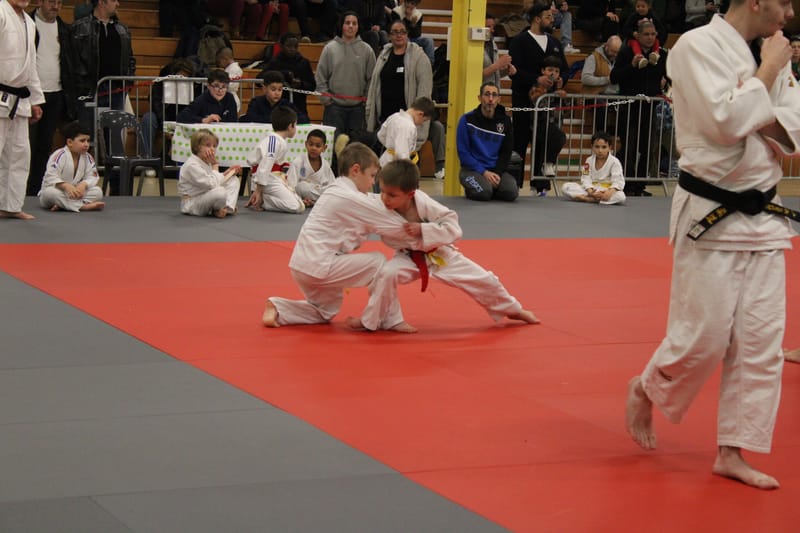 Renardo à Nogent le Rotrou - 25/01/25