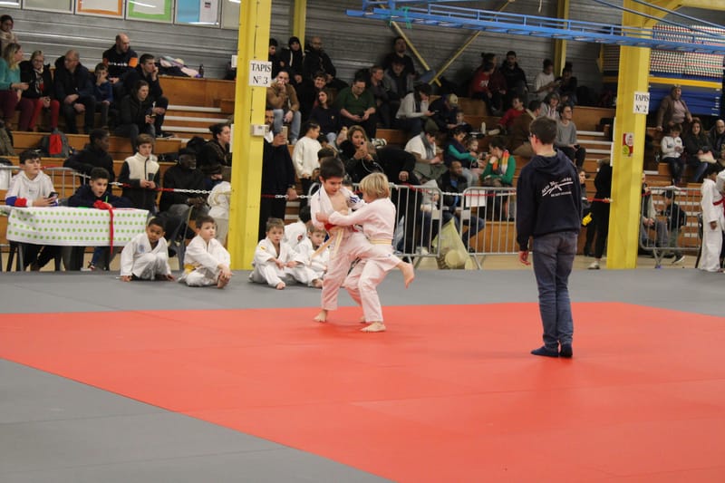 Renardo à Nogent le Rotrou - 25/01/25