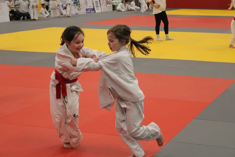 Renardo à Nogent le Rotrou - 25/01/25