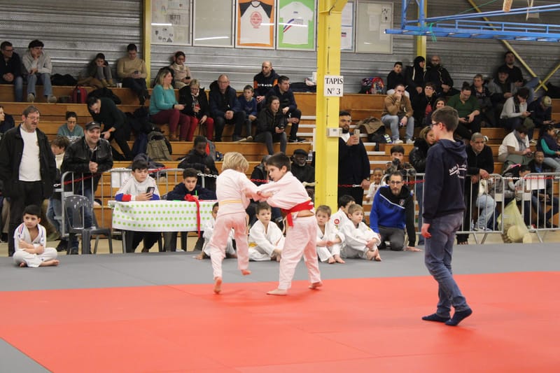 Renardo à Nogent le Rotrou - 25/01/25