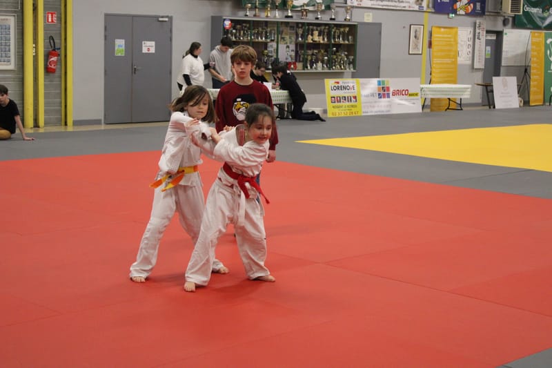 Renardo à Nogent le Rotrou - 25/01/25