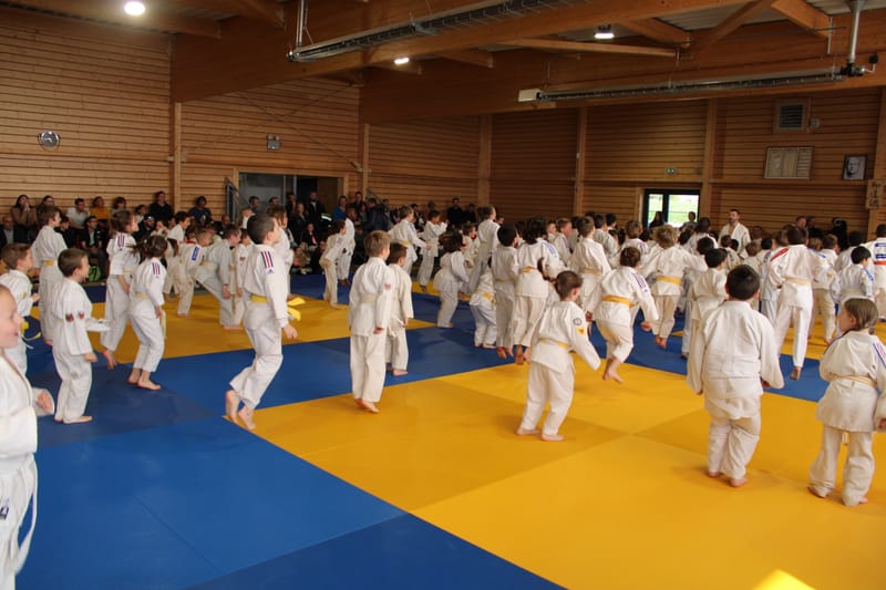 Renardo à Auneau - 29/03/25