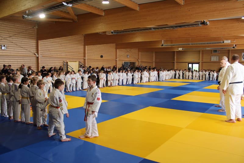 Renardo à Auneau - 29/03/25