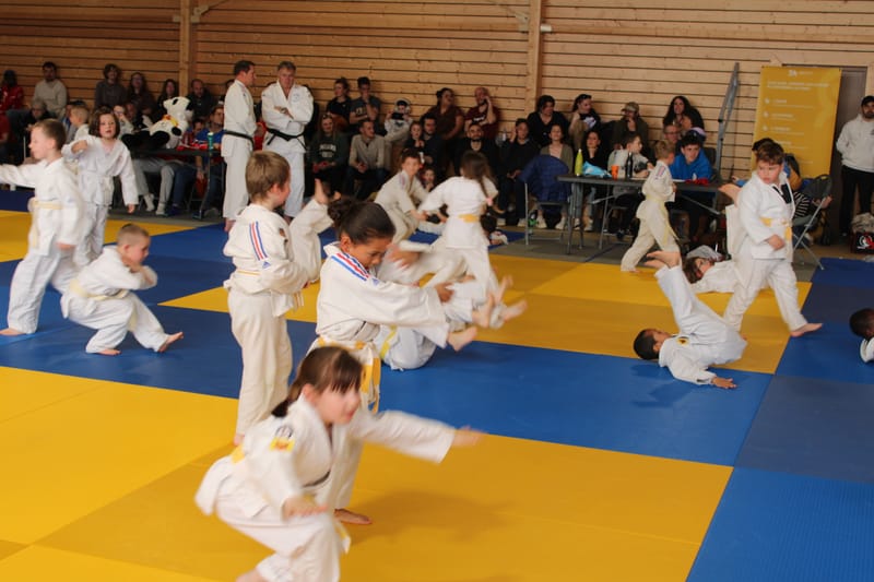 Renardo à Auneau - 29/03/25